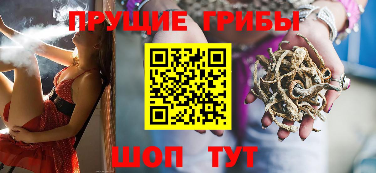 Ульяновск  Галлюциногенные грибы Magic Shrooms  Псилоцибиновые грибы GOLDEN TEACHER  Вход с VPN 